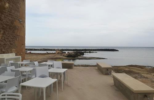 La Vite Americana - Foto 18