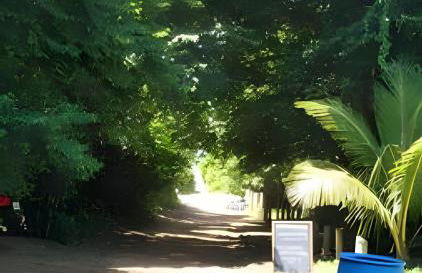 Quintal do Contêiner em Manguinhos - Photo 96