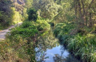 Casa Corazón de piedra en el Río Dulce - Foto 48