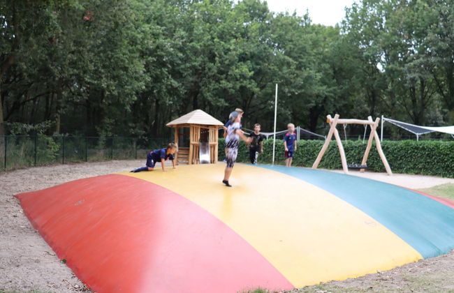 3 bedroom House in Udenhout with swimming pool and garden - Photo 14