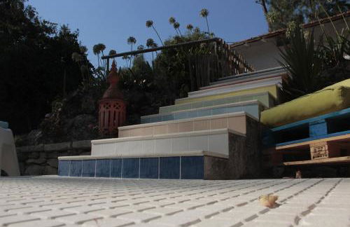 Bosque dos Amieiros - Foto 64