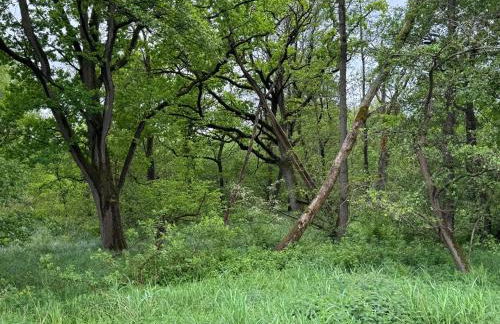 Waldweg 33 - Foto 18