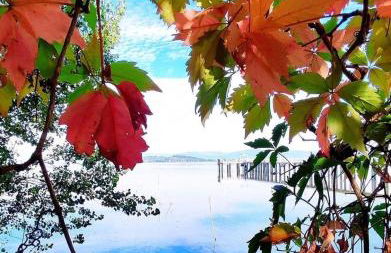 Casa Vacanze Barbara - Foto 40