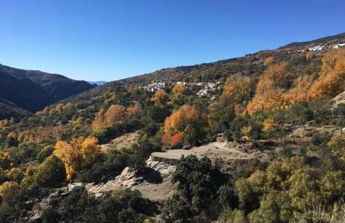 Casa Barbara - Foto 27