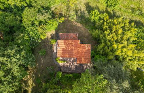 Villa Buriconti - Peaceful Countryside Retreat - Foto 41