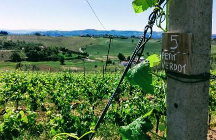 Agriturismo Luggiano - Foto 40