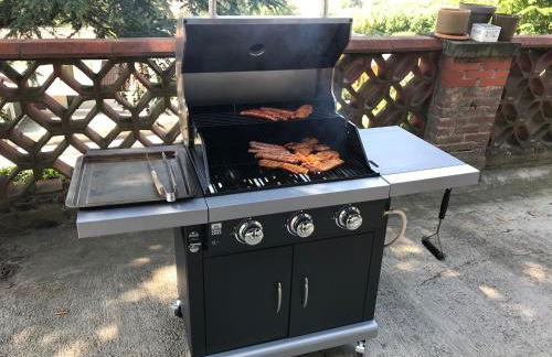 gite au chat bûcheron - Foto 26