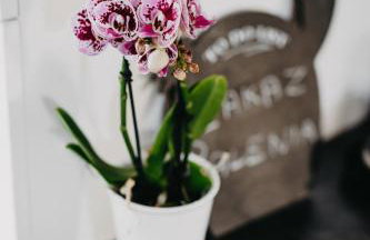 Apartament Rynek Pniewy - Foto 16