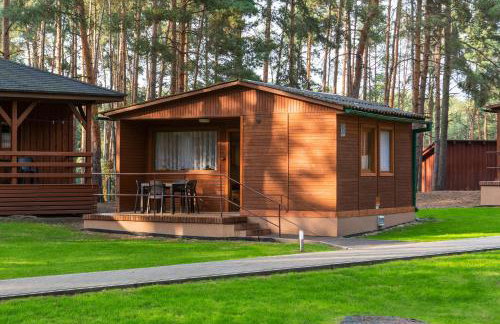 Campus Karolina BRENNO - Foto 33