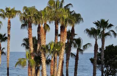 Mondrian Magic World - sea view first line of the beach - Photo 1