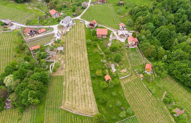 Vineyard Homestead Vrtin - Foto 11