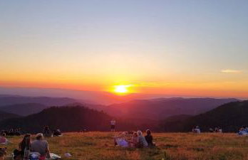 Ferienwohnungen Höflehof - Foto 8