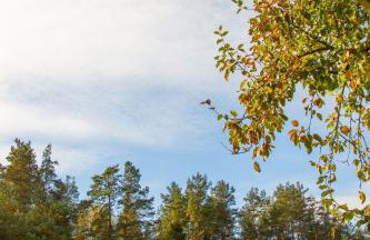 Domek w Zakątku Andrzeje Śniczany 18 - Photo 48