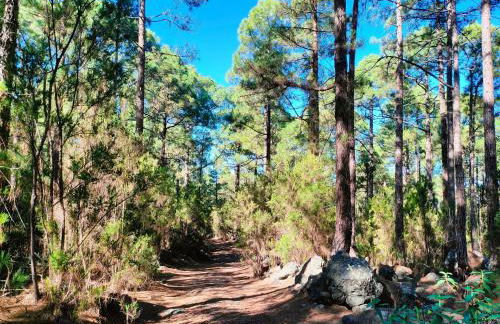 Casa Kores - Foto 22