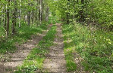 Dom na Końcu Świata w Sercu Natury - Foto 33