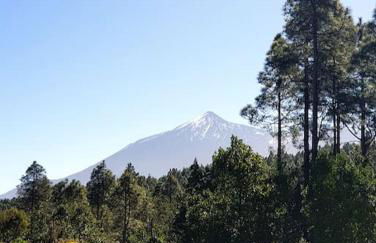 Hikers Haven Courtyard Apartment Tamaimo Tenerife - Foto 47
