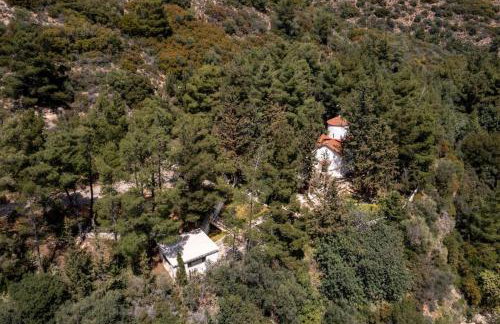 Αρχοντικό FoRRest - Foto 25