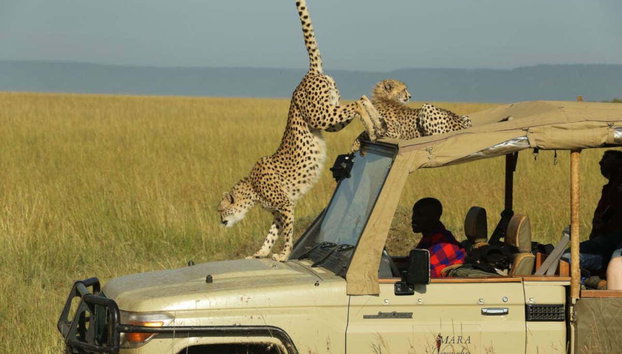 Maasai Mara 3 Day Safari - Photo 2