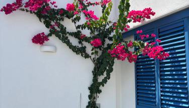 VILLA EOLIA Sicily beachfront apartments - Foto 5