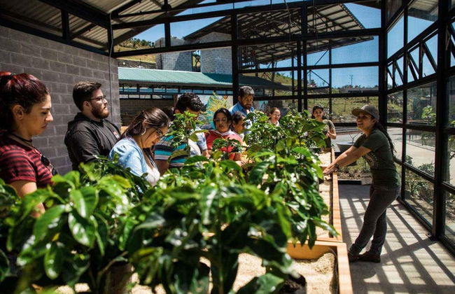 Vulcão Poás, Catarata de La Paz e plantação de café - Foto 5