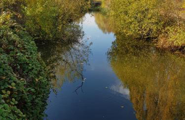 Chatterley House - Foto 116