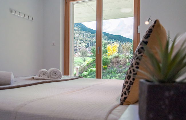 Les penguins - Foto 8