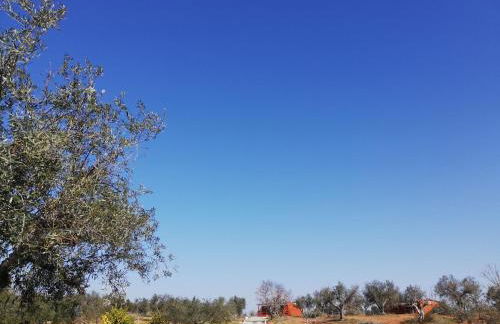 Burrico D`Orada - Rural Stays & Wine Country Tours - Foto 51