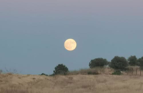 Monte Costa Raiz - Foto 17