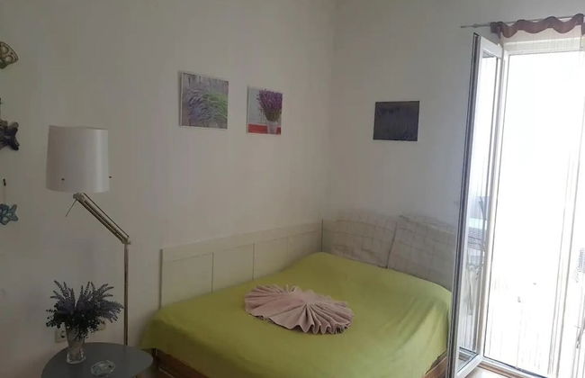 Mlad - With Pool - A1 - Photo 5