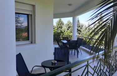 Bright New Garden - Foto 19