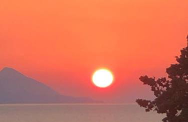 Fig Tree Apartment - Foto 41