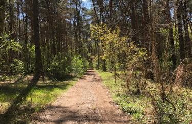 Rudno 48 Domek Letniskowy - Foto 28