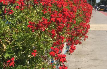 Apartament LAVENDER - Foto 25