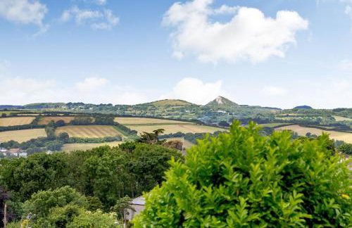 Jenny Wren - Foto 20