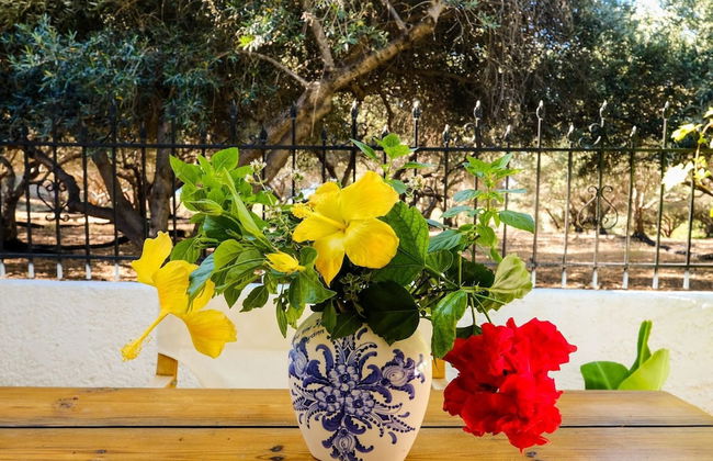 Tranquil Holiday Home in Palaiochora near Sea Beach - Foto 36