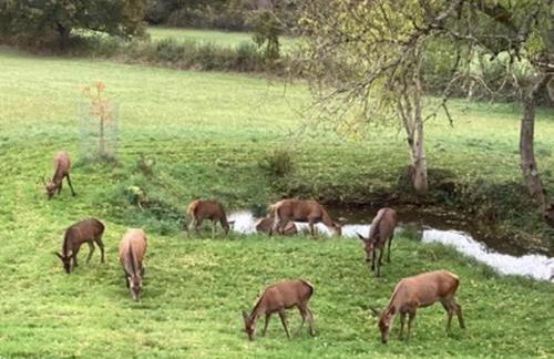 2 Bed in Chepstow 95046 - Foto 31