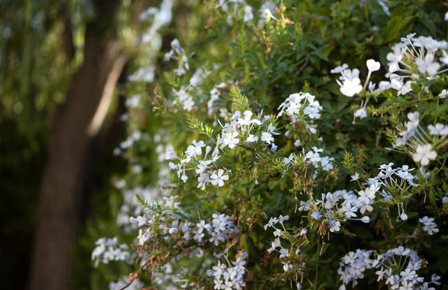 L'Antica Vigna - Photo 34