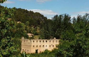 La caseta de Pedris - Foto 32