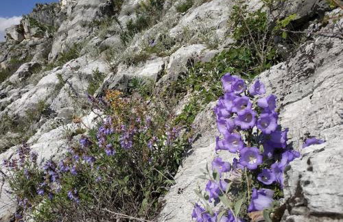 ΒΙΟΚΛΙΜΑΤΙΚΟ ΗΛΙΟΠΕΤΡΟΣΠΙΤΟ στην ΑΡΧΑΙΑ ΒΟΚΕΡΙΑ - Photo 76