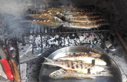 Apartment Dragovic - Photo 4