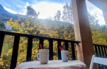 Carlina Canfranc - Foto 19