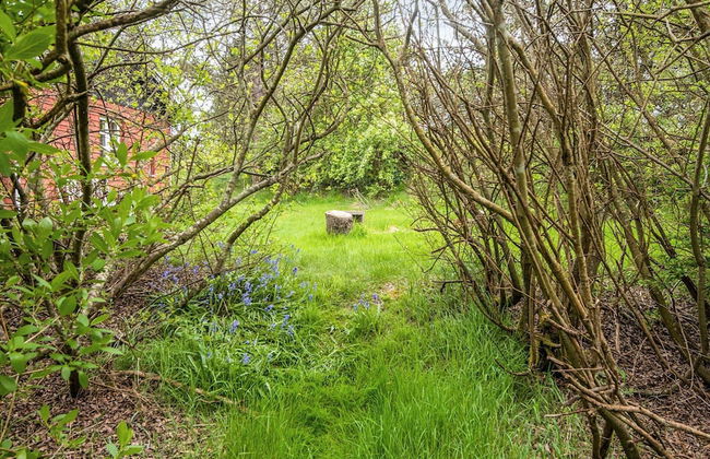 Secluded Retreat by Limfjorden - By Traum Ferienwohnungen - Foto 35