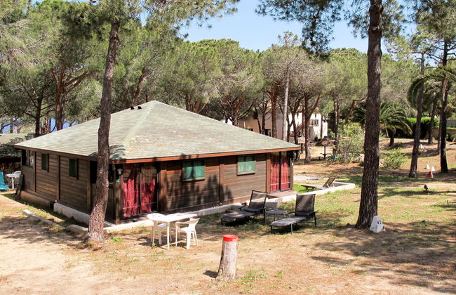 Tramariccia - Foto 8