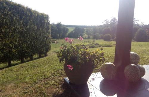 Casa Crisanta - Foto 11