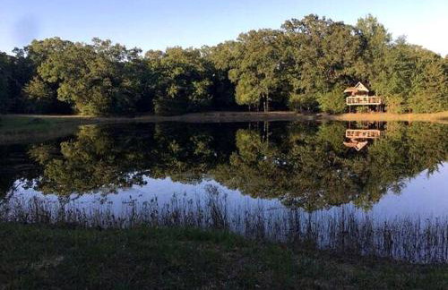Texas Safari Camp Hummingbird Tree House - Foto 16