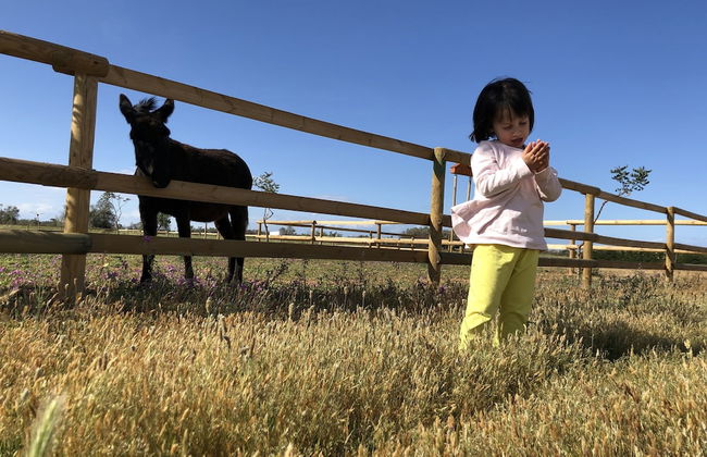Agriturismo Masseria Galatea - Photo 16
