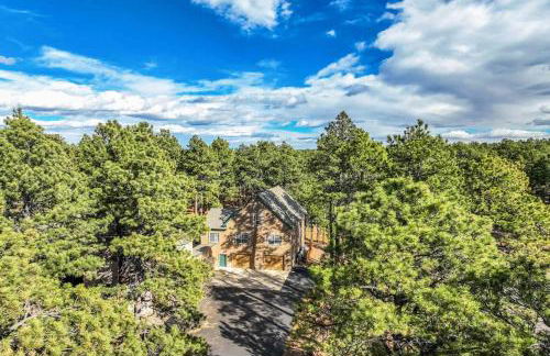 Luxury Retreat with Hot Tub Fire Pit & Forest Views - Foto 61