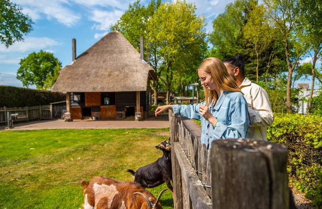 Nice Chalet With Dishwasher, on the Veluwe - Foto 30