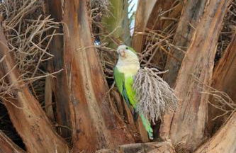 Apartamento Puesta De Sol - Foto 29