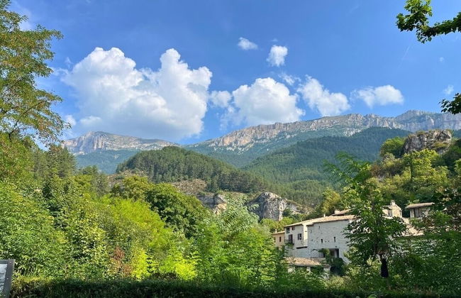 Domaine du Couriou - Foto 68